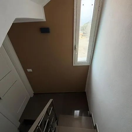 Palomas